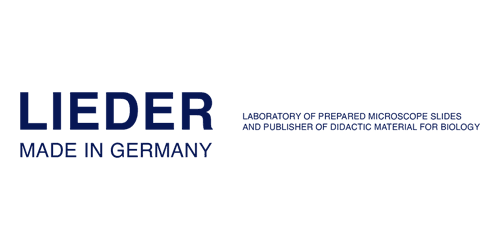 Lieder