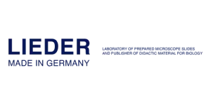 Lieder