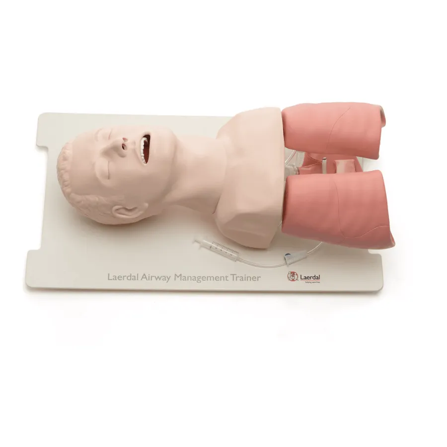 Laerdal® Airway Management Trainer